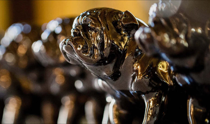 Televisual Bulldog Awards